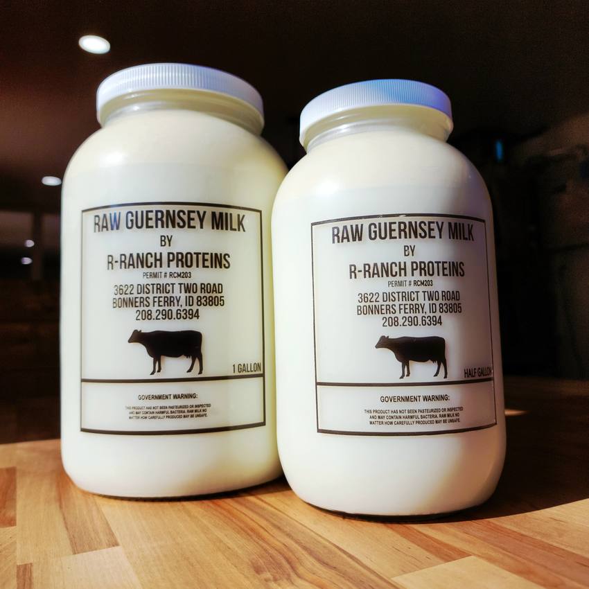 Two jugs of raw Guernsey milk from R-Ranch Proteins of Bonners Ferry, one gallon and one half gallon, on the counter.